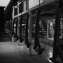 뉴 퍼시픽 이미지