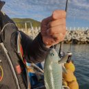 풍경좋은방 이미지