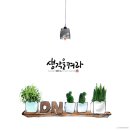 일러스트 캘리그라피 이미지