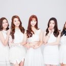 베리굿 스타뉴스