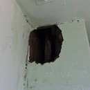 북면사무소 | 창원 북면 신우아파트 누수공사 후 아래층 미장 복구 작업