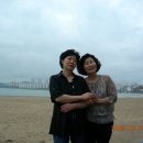 가천초등학교 이미지