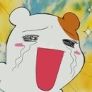 햄찌네 Daum카페