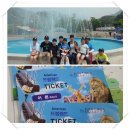 드림랜드(아) 이미지