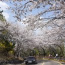 꽃, 이어라 이미지