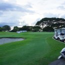 삼삼골프 이미지