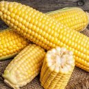 모단농장 이미지