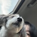 휘영푸드 이미지