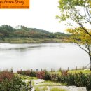 일산디스코팡팡 이미지