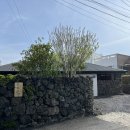 쉴틈올레 이미지