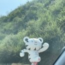 배구목장 이미지