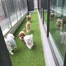 노은유치원 이미지