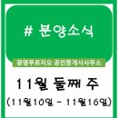 북수원리버파크공인중개사사무소 | 분양정보 (11월 둘째 주)