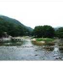 주은 자연휴양림 이미지