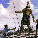 의권목장 | 의료 일원화에 대해서