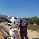 엄지마을 이미지