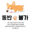 [카페투어] 만석공원 옆 따뜻한 분위기 "이캡커피 (ekab coffee)"
