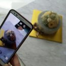 (주)보드레 이미지