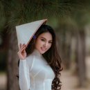 비엣남 - 파주시 교하로159번길 7 | 비엣남
