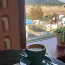 하귤스테이 | 고립여행 제주도 3박 4일: 약천사, 인생 첫 템플스테이 (휴식형, 1박 2일)