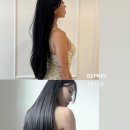 로즈테라피 이미지