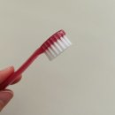 해태어린이집 | 유아칫솔 추천, 어린이집 보내기 전 아기칫솔 이렇게 골랐어요