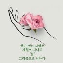 마음가짐 Daum카페