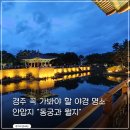 안압지 | 경주 야경 명소 동궁과월지 안압지 방문 후기 주차 입장료 정리