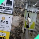 닥터아이티엔깔롱손톱
