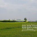 자유로농장 이미지