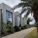 에다모니아 이미지