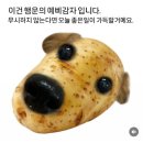 여의도 술집 구포국수 : 안주맛집 한식 주점