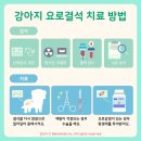 탄현 동물병원 이미지