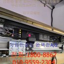 포항베누스
