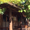 배나무집툇골오리 | [인천 남동구] 인천대공원 시골 할머니집 감성 마늘향 가득한 오리로스 찐 맛집 버드나무집