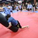 코리안탑팀 이미지