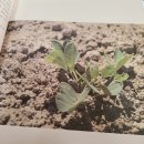 마니농장 이미지