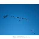 화포천생태습지공원 이미지