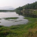 웅천 소류지 이미지