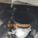 코뿔소카모터스