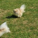 박순호의 아이슬란드 이미지