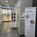 주노뷰티 | 다올뷰티 원주점 | 무실동속눈썹펌 잘하는곳, 왁싱 펌 브로우 가능한 토탈뷰티샵