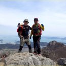 영남초교 이미지