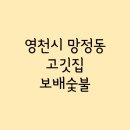 보배숯불 네이버블로그
