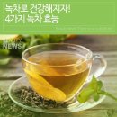 녹차 효능 이미지