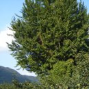 천지인농장 이미지