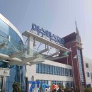 영취산 민박 | 180331 진달래 가득했던 여수 영취산 후기