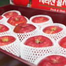 법인에덴동산