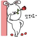 (주)세영푸드 이미지