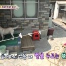 호야농장 이미지